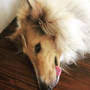 Meet your Posher, Mauri